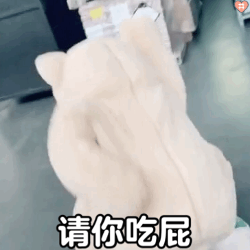跳舞小熊表情包动图