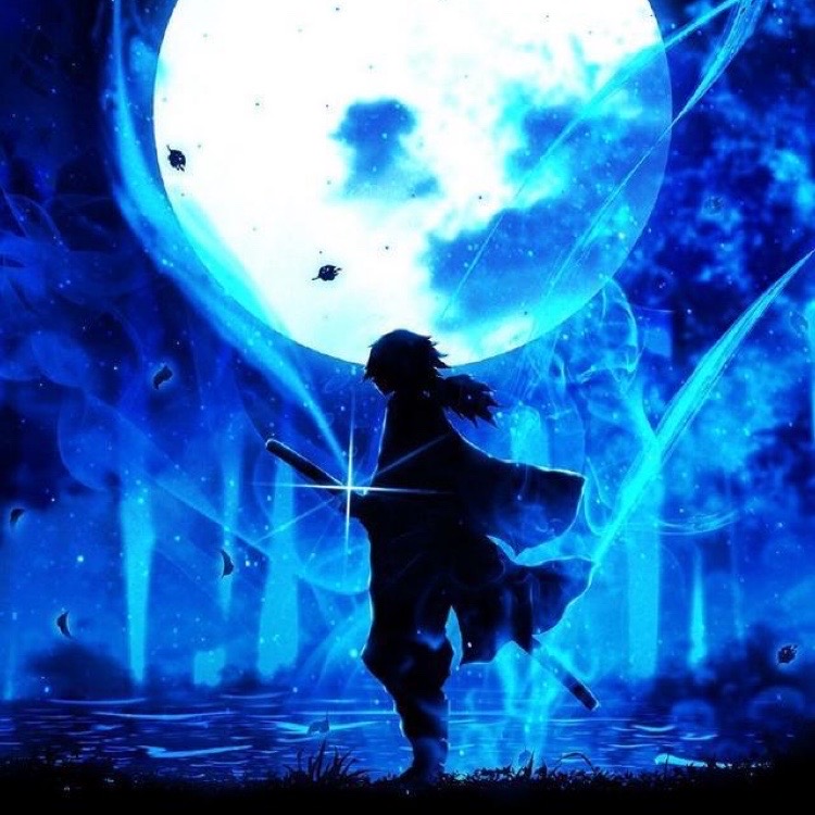 鬼灭之刃夜幕下的样子