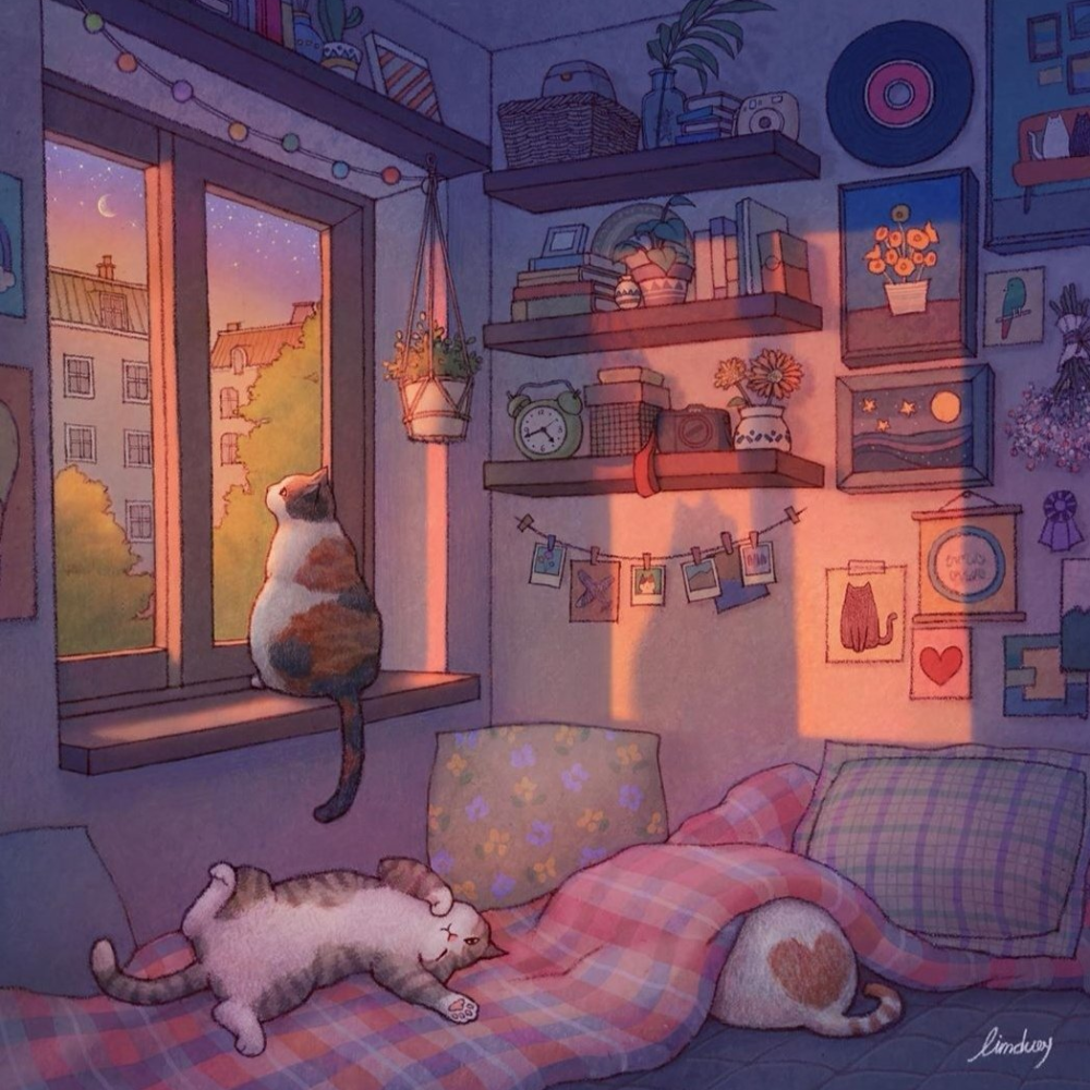 【插画分享】韩国治愈插画师limduey猫咪温… - 堆糖,美图壁纸兴趣