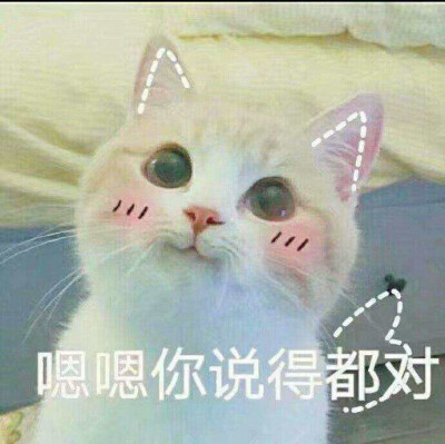 生活不易猫猫叹气表情包原图