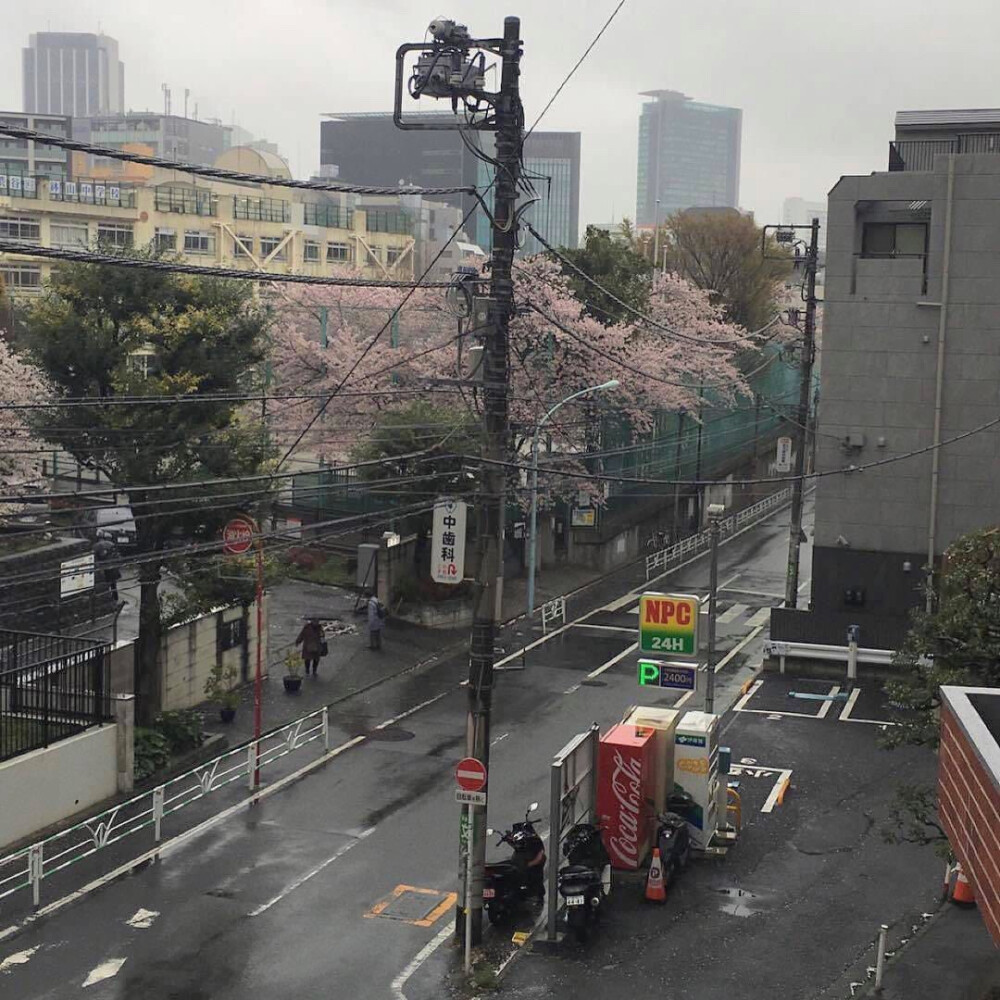 日系壁纸