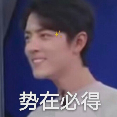 肖战表情包