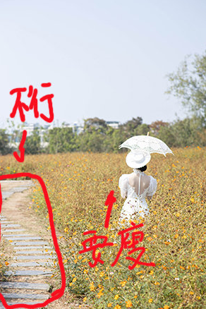 20200721103243_Nnzfe.png