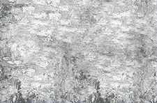 20200721103244_3nFZt.thumb.300_0.jpeg