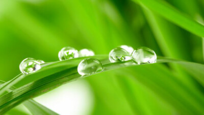 【pinterest壁纸】手机拼贴壁纸素材 | 浅绿色 | 无水印 背景图