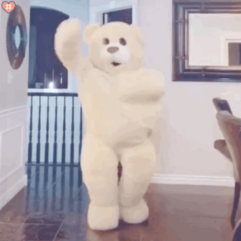 井井原创 玩偶熊跳舞表情包 泰迪熊人偶尬舞gif动图 蹦迪 搞笑逗比