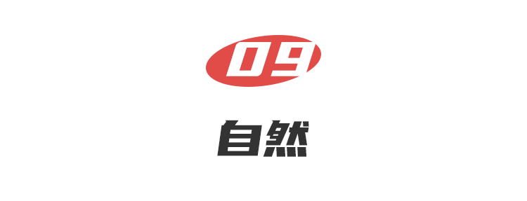 20200727143910_4CeJQ.png