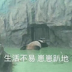 大熊猫表情包 生活不易 崽崽趴地