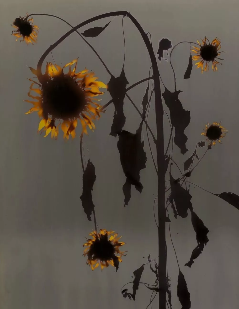 20200813105441_svdAZ.png