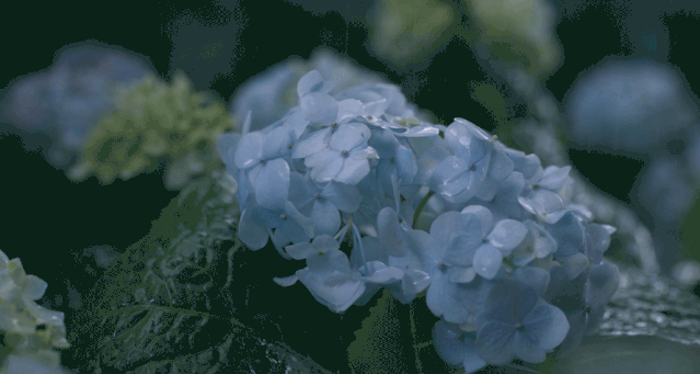 20200911141006_8RWGd.gif