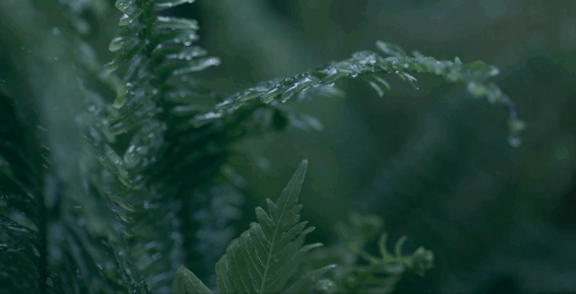 20200911141006_zuAVJ.gif