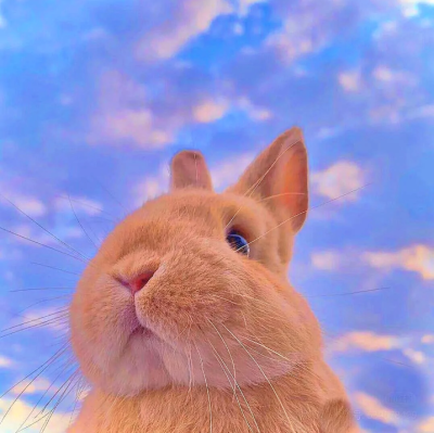 女生头像蓝色微笑