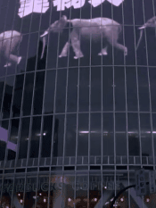 20200920221103_iPwE5.gif