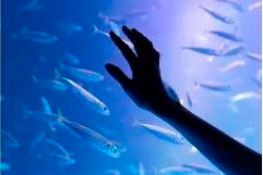 20200930201243_MadHU.png