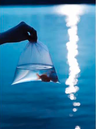 20200930201245_BsfCY.png
