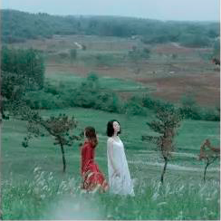 20200930201247_amNwz.png