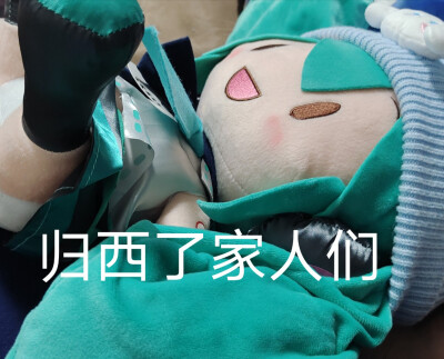 初音fufu表情包