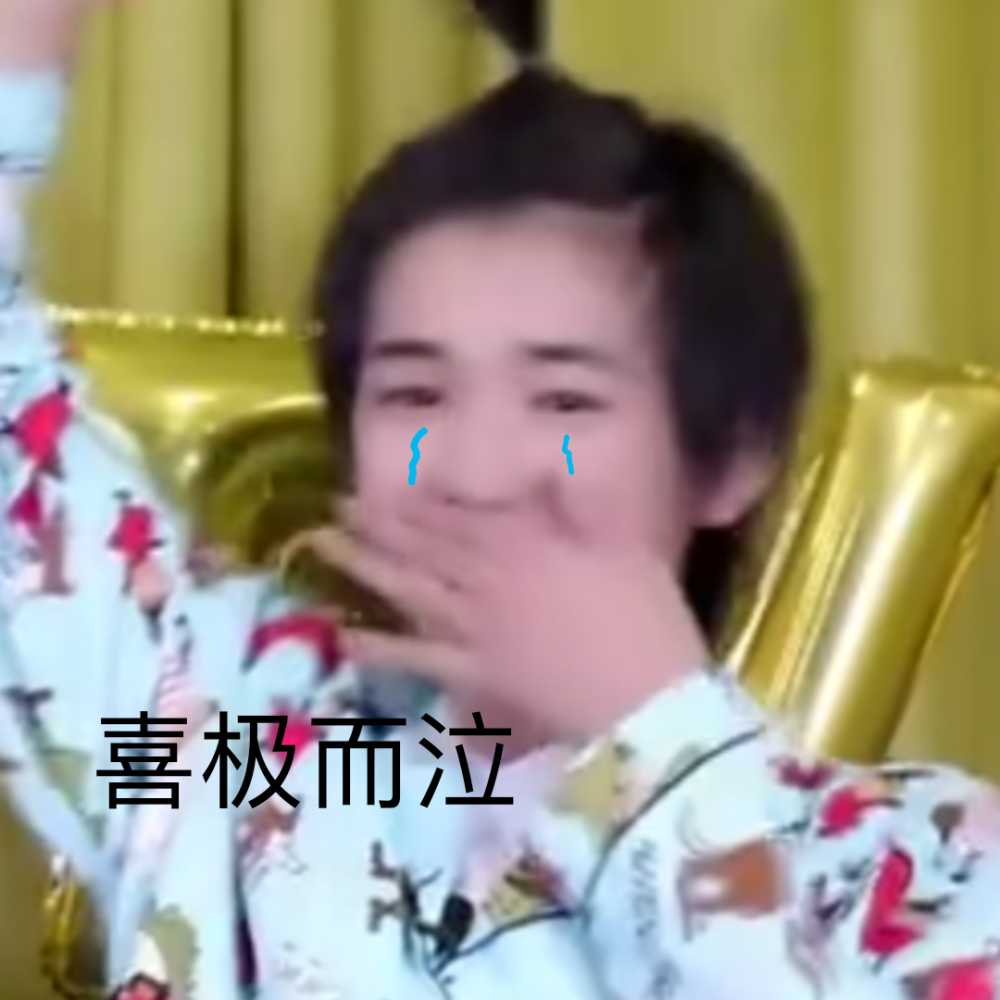 喜极而泣/宋亚轩表情包
