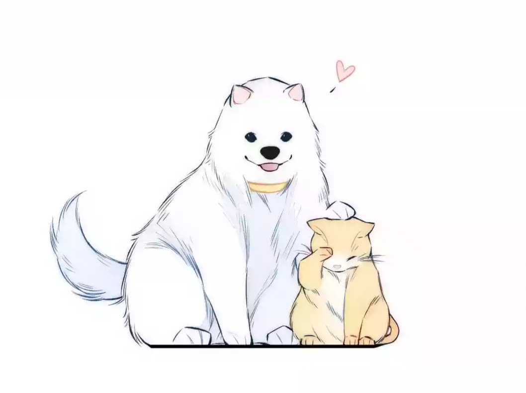 狐姚  